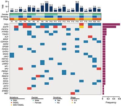 The Comprehensive Analyses of Genomic Variations and Assessment of TMB and PD-L1 Expression in Chinese Lung Adenosquamous Carcinoma